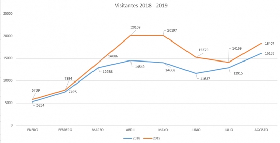 Evolucion 2018 - 2019 grafico de lineas